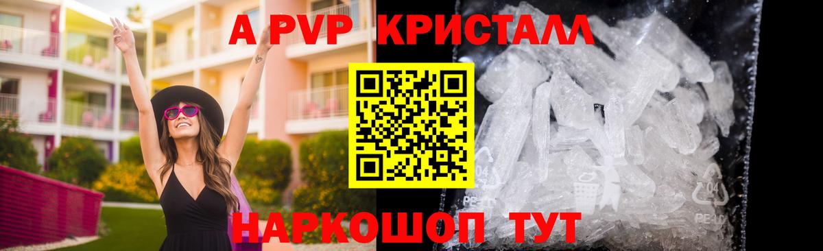 A PVP СК Новодвинск