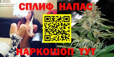 mdpv Рыбинск