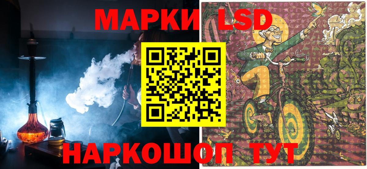 МЕФ Новодвинск