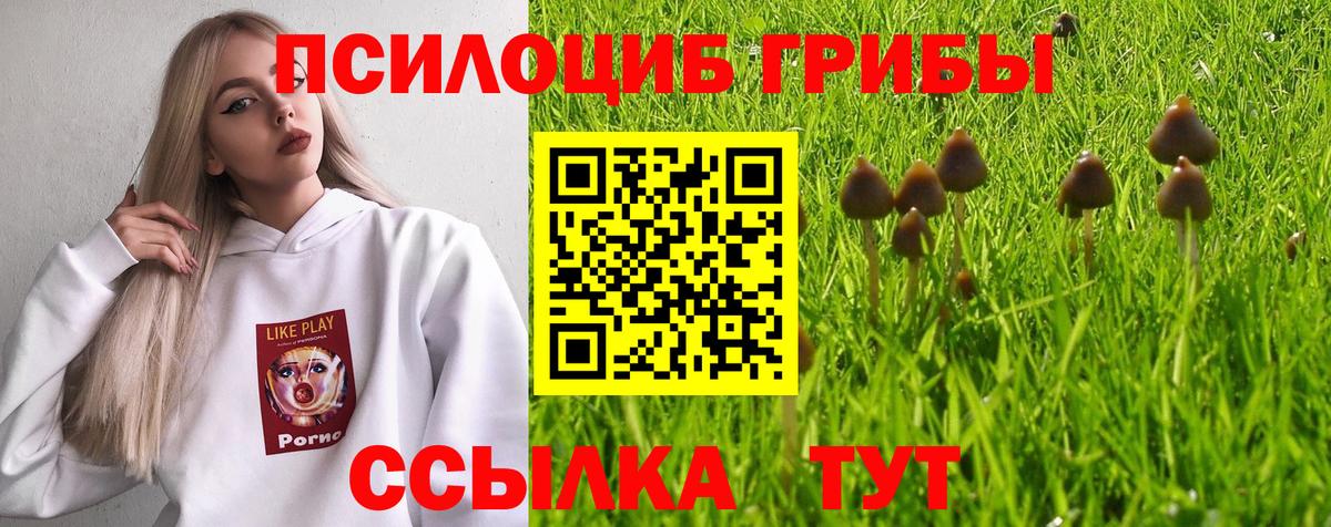 Галлюциногенные грибы ЛСД Новодвинск