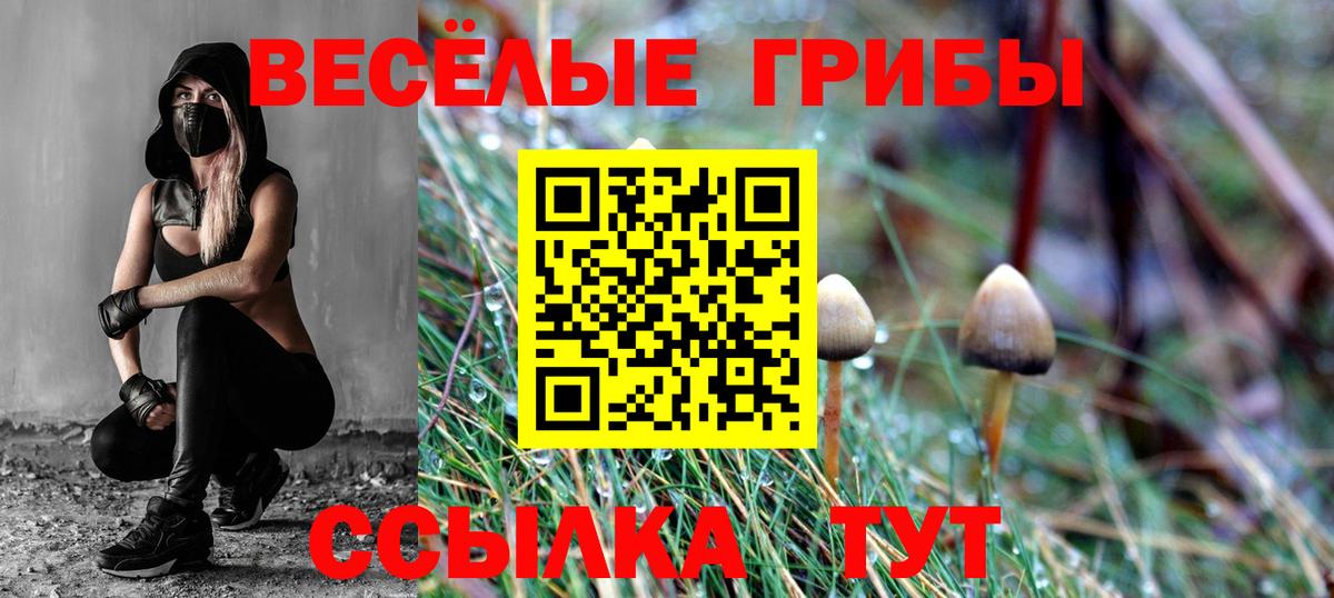 Галлюциногенные грибы MAGIC MUSHROOMS  Галлюциногенные грибы GOLDEN TEACHER  Вход с VPN  Новодвинск 